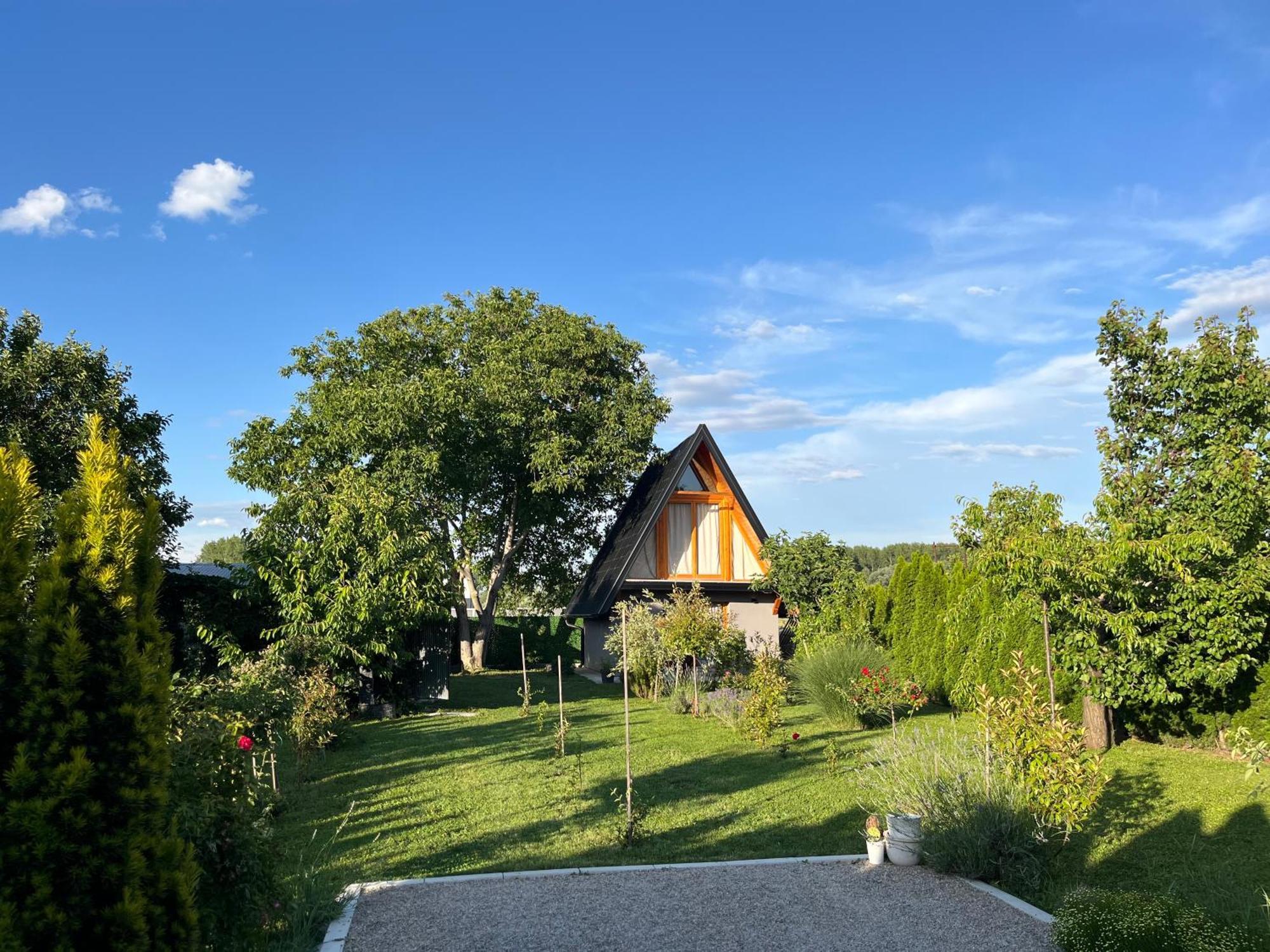 Petrovaradin Chalet Novi Sad Exteriör bild