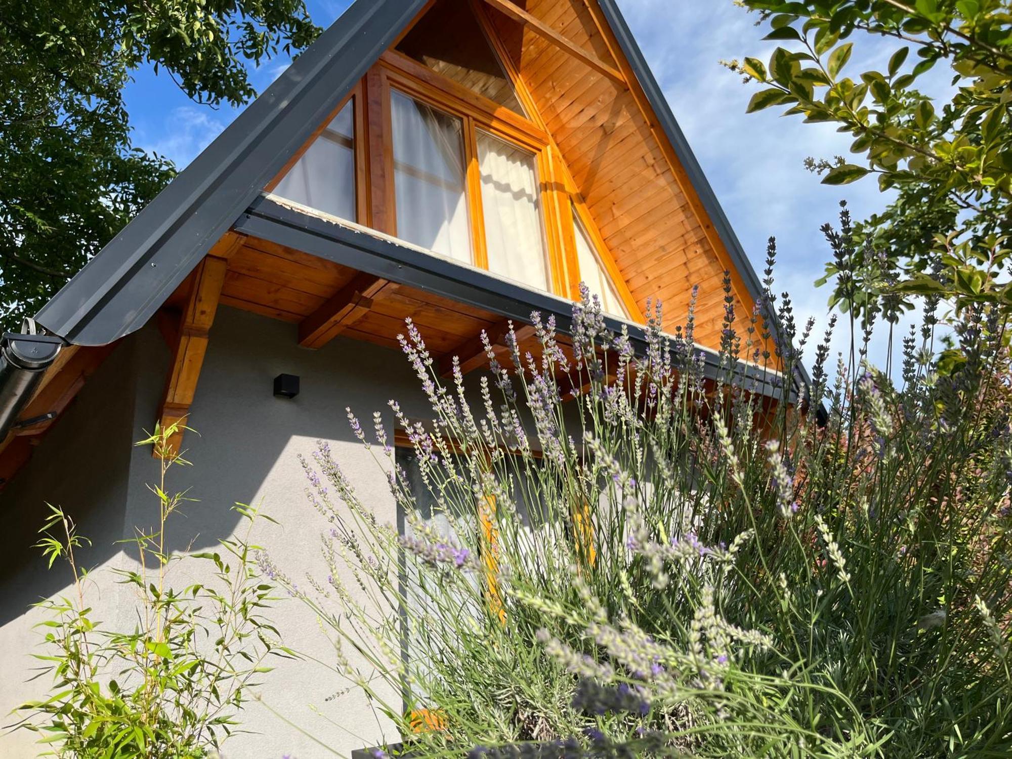 Petrovaradin Chalet Novi Sad Exteriör bild